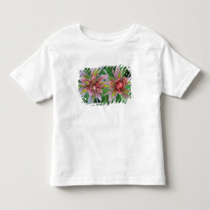 Indian Paintbrush, Banff NP, Alberta, Canada Toddler T-Shirt