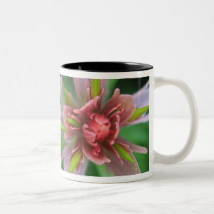 Indian Paintbrush, Banff NP, Alberta, Canada Two-Tone Coffee Mug
