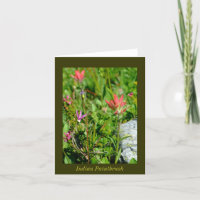 Indian Paintbrush