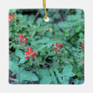 Indian Paintbrush Ceramic Ornament