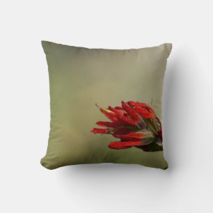 Indian Paintbrush Cushion