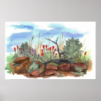 Indian Paintbrush Flowers Desert Landscape