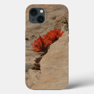 Indian Paintbrush in Rocks at Zion iPhone 13 Case