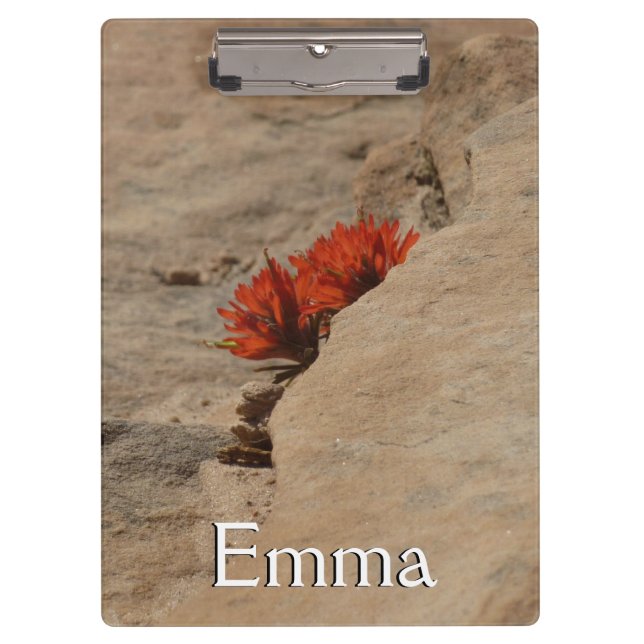 Indian Paintbrush in Rocks at Zion Clipboard (Front)