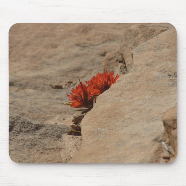 Indian Paintbrush in Rocks at Zion Mouse Mat (Front)