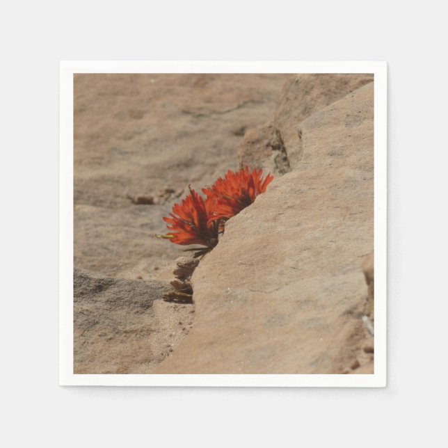Indian Paintbrush in Rocks at Zion Napkin (Front)