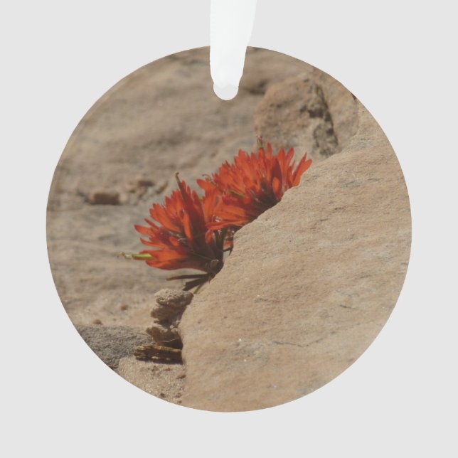 Indian Paintbrush in Rocks at Zion Ornament (Front)