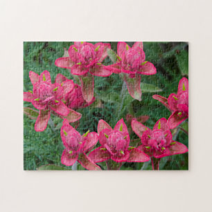 Indian Paintbrush Jigsaw Puzzle