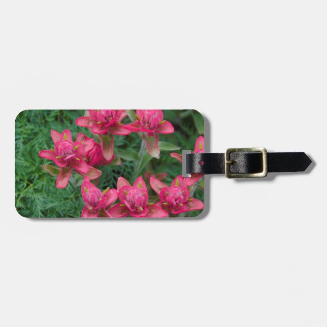 Indian Paintbrush Luggage Tag (Front Horizontal)