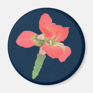 Indian Paintbrush Magnet