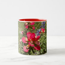 Indian Paintbrush Mug