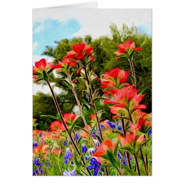 Indian Paintbrush on Canvas (Front)