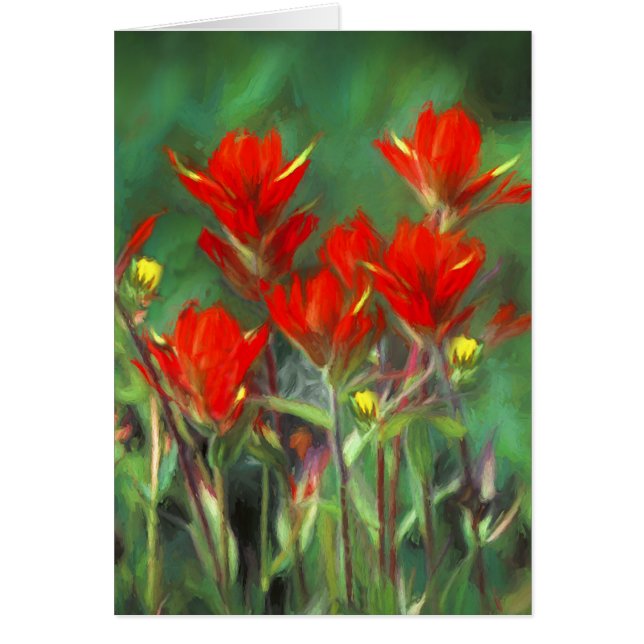 Indian Paintbrush Painting - Original Flower Art (Front)