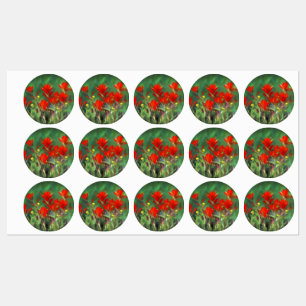 Indian Paintbrush Painting - Original Flower Art