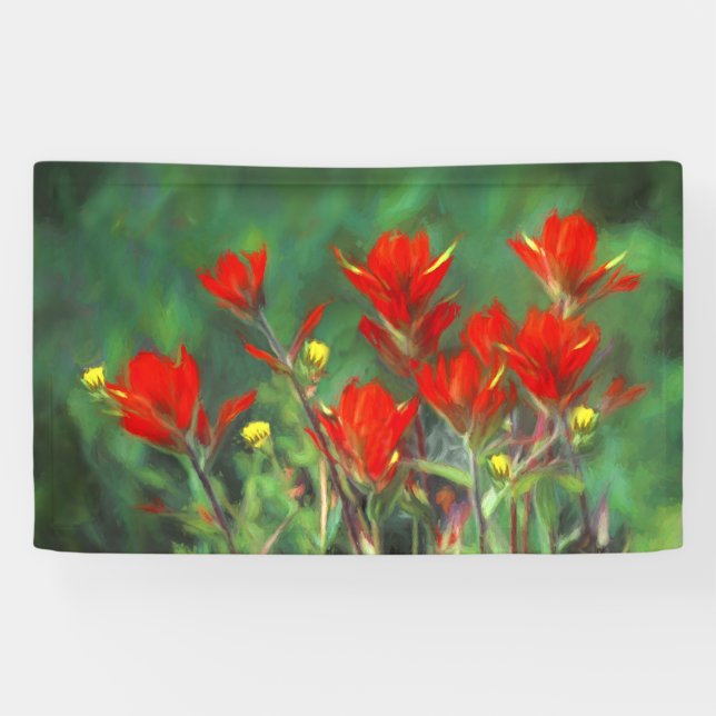 Indian Paintbrush Painting - Original Flower Art Banner (Horizontal)