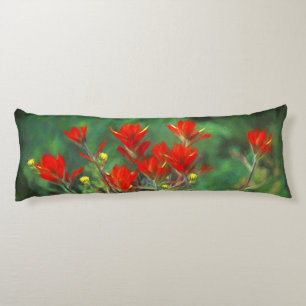 Indian Paintbrush Painting - Original Flower Art Body Cushion