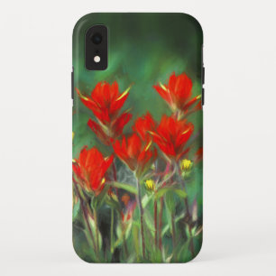 Indian Paintbrush Painting - Original Flower Art iPhone XR Case