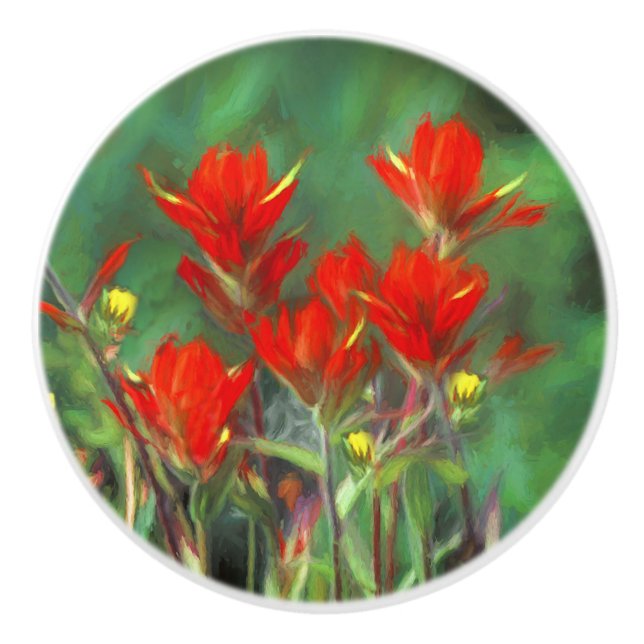 Indian Paintbrush Painting - Original Flower Art Ceramic Knob (Front)