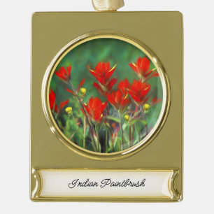 Indian Paintbrush Painting - Original Flower Art Gold Plated Banner Ornament