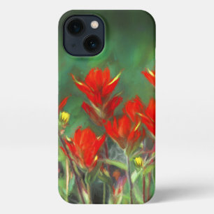 Indian Paintbrush Painting - Original Flower Art iPhone 13 Case