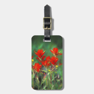 Indian Paintbrush Painting - Original Flower Art Luggage Tag