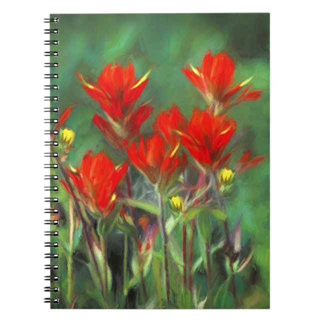 Indian Paintbrush Painting - Original Flower Art Notebook (Front)