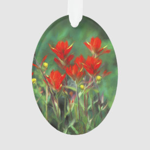 Indian Paintbrush Painting - Original Flower Art Ornament