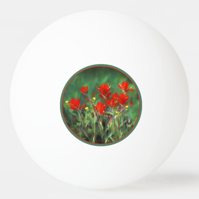 Indian Paintbrush Painting - Original Flower Art Ping Pong Ball (Front)
