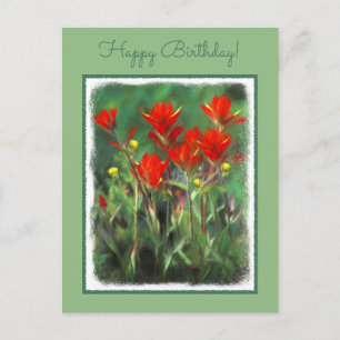 Indian Paintbrush Painting - Original Flower Art Postcard