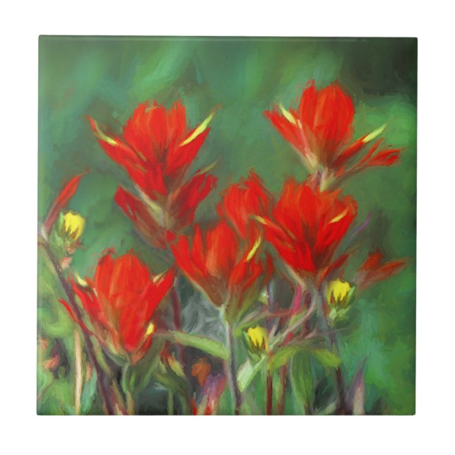 Indian Paintbrush Painting - Original Flower Art Tile (Front)