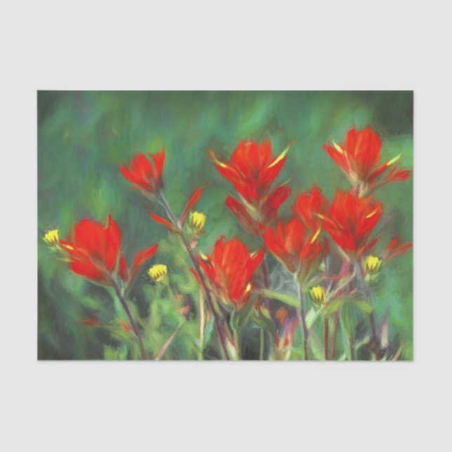 Indian Paintbrush Painting - Original Flower Art Tissue Paper (Front)