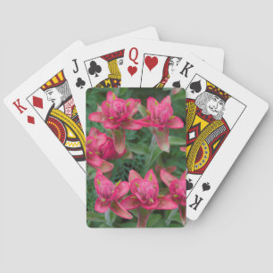 Indian Paintbrush Playing Cards
