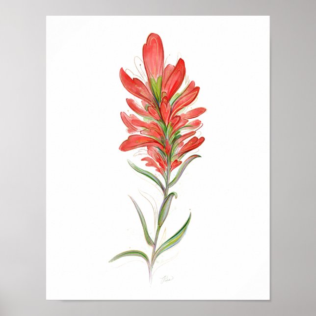 Indian Paintbrush Red Wildflower Art Poster (Front)