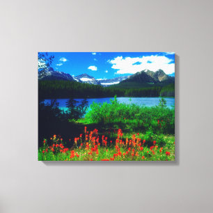 Indian Paintbrush Wildflowers Canvas Print