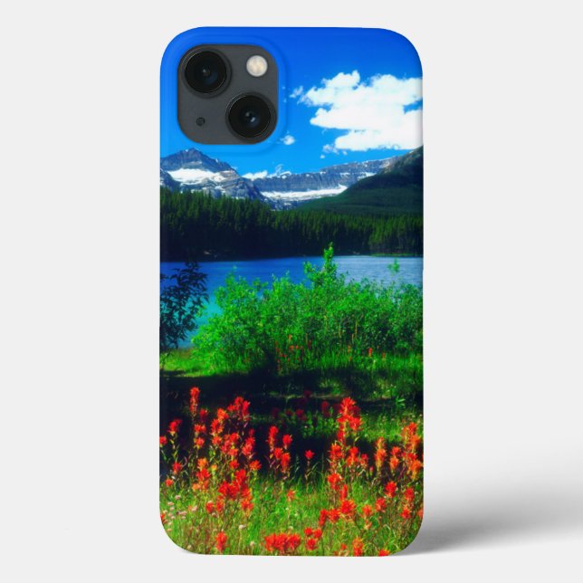 Indian Paintbrush Wildflowers Case-Mate iPhone Case (Back)