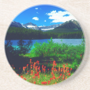 Indian Paintbrush Wildflowers Coaster