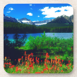 Indian Paintbrush Wildflowers Coaster