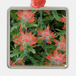 Indian paintbrush wildflowers in the Many Metal Tree Decoration