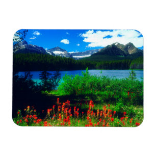 Indian Paintbrush Wildflowers Magnet