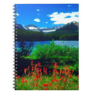 Indian Paintbrush Wildflowers Notebook
