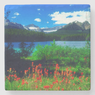 Indian Paintbrush Wildflowers Stone Coaster