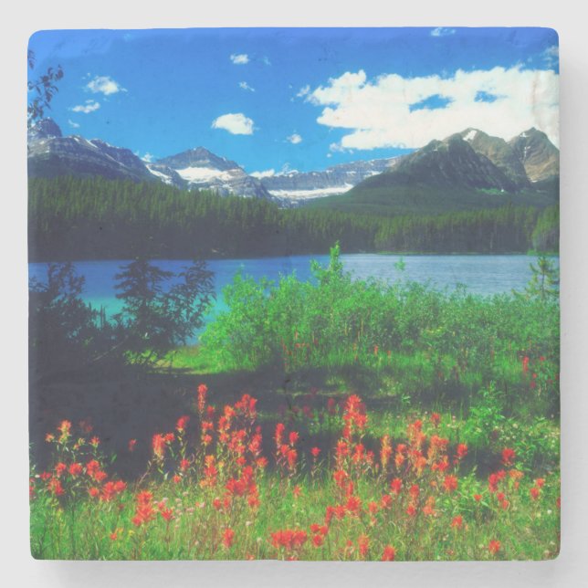 Indian Paintbrush Wildflowers Stone Coaster (Front)