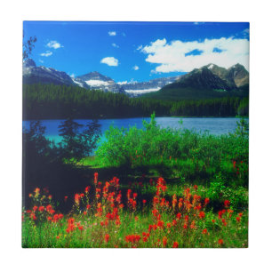 Indian Paintbrush Wildflowers Tile