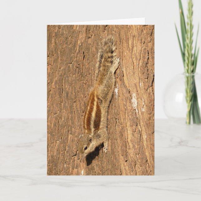 Indian Palm Squirrel on a Tree Trunk Card (Front)