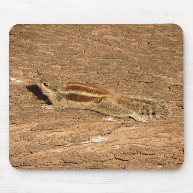 Indian Palm Squirrel on a Tree Trunk Mouse Mat (Front)