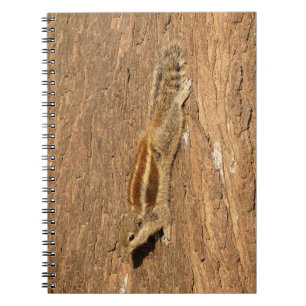 Indian Palm Squirrel on a Tree Trunk Notebook