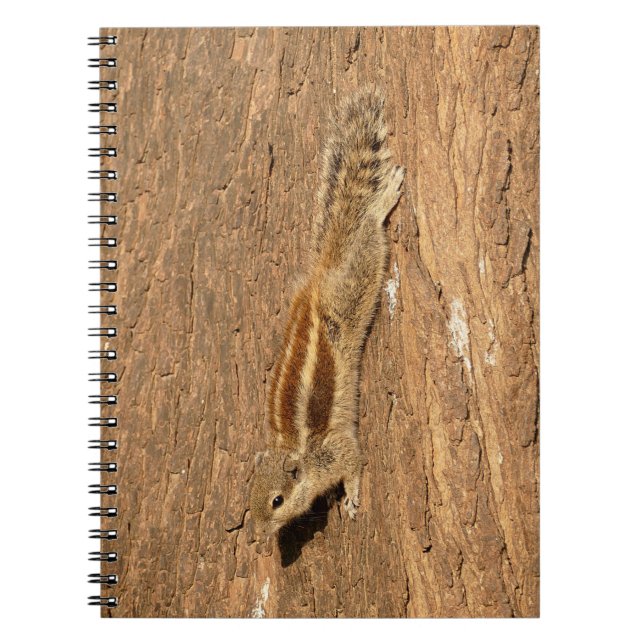 Indian Palm Squirrel on a Tree Trunk Notebook (Front)