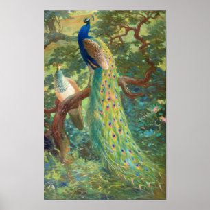 Indian Peafowl Charles Robert Knight Poster