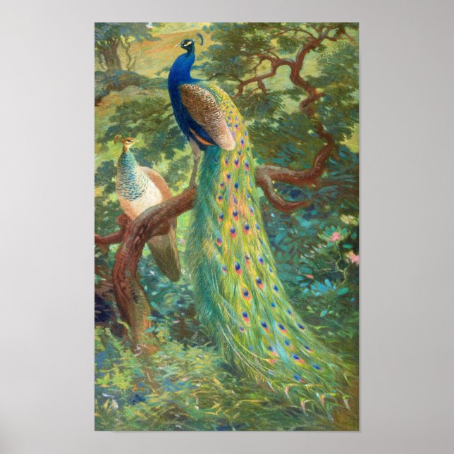 Indian Peafowl | Charles Robert Knight Poster (Front)