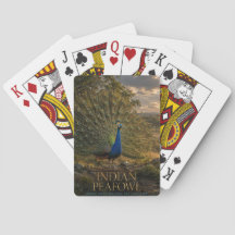Indian Peafowl Woodland Edge ANIMALS Poker